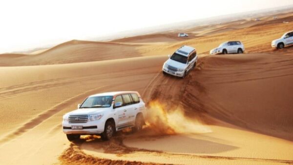Iran Nature Adventure: 10-Day Journey Through Mountains, Deserts, and Islands - Image 8