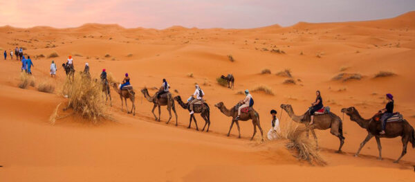 Iran Nature Adventure: 10-Day Journey Through Mountains, Deserts, and Islands - Image 7